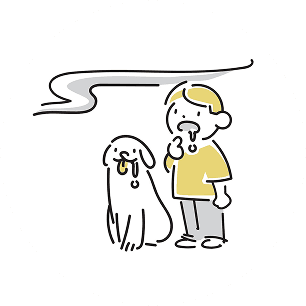 愛犬に合うフードを教えてほしい…