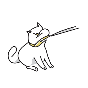 引っ張り歩き、拾い食いなどトレーナーさんに相談してみたい…