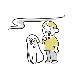 愛犬に合うフードを教えてほしい…